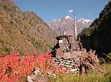 Manaslu 05 04 Chorten, Buckwheat, Lapuchun and Dwijen Himal From Deng I arrived at the tiny picturesque village of Deng (1800m) at 9:15. I strolled down off the path to see a chorten of stones with red buckwheat in the foreground and Lapuchun (5960 m) and Dwijen Himal (5521m) ion the distance.